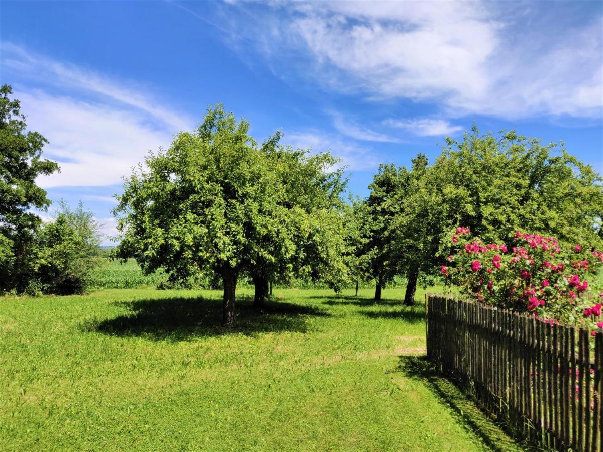 Pension Margaretenhof Bayerbach Εξωτερικό φωτογραφία